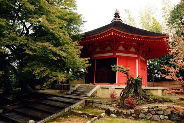 Art Stay In Tofukuji Kyoto Exteriör bild